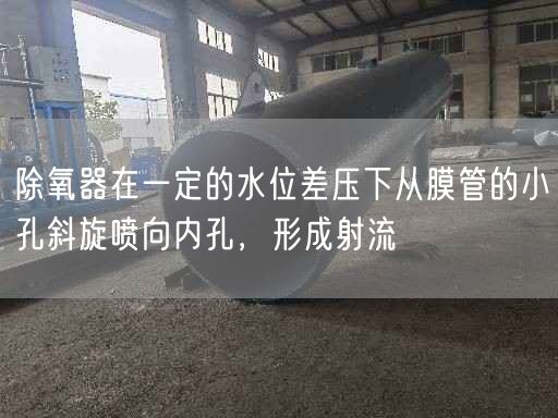 除氧器在一定的水位差壓下從膜管的小孔斜旋噴向內(nèi)孔，形成射流