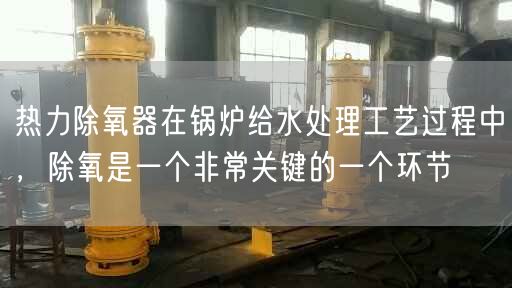 熱力除氧器在鍋爐給水處理工藝過程中，除氧是一個非常關鍵的一個環(huán)節(jié)